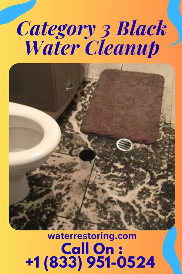 Category 3 Black Water Cleanup in Neosho, MO