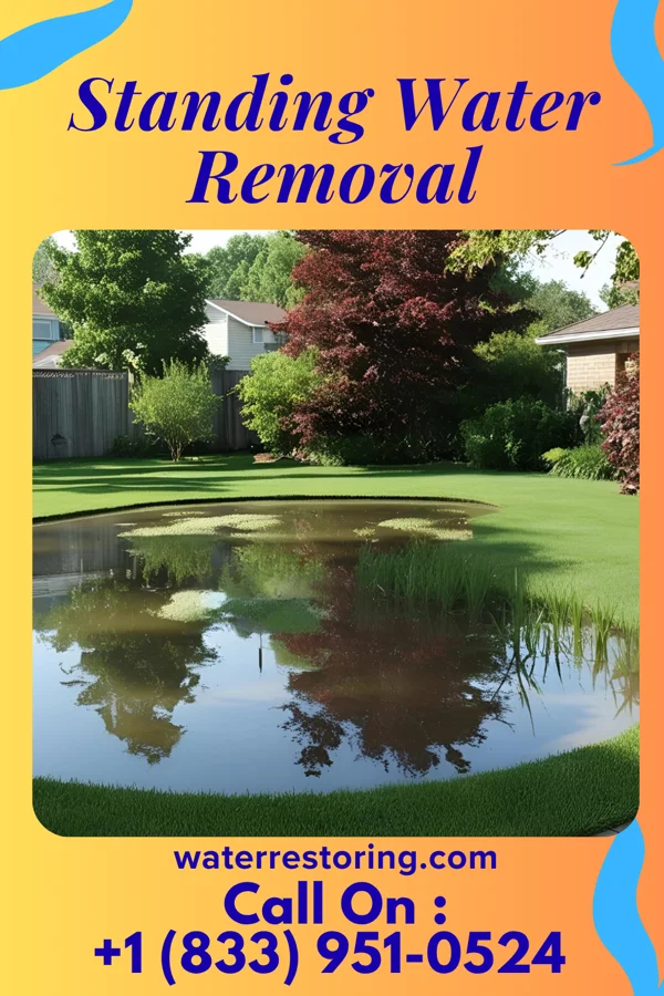 Standing Water Removal in Neosho, MO